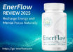 EnerFlow in 2025