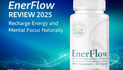 EnerFlow in 2025