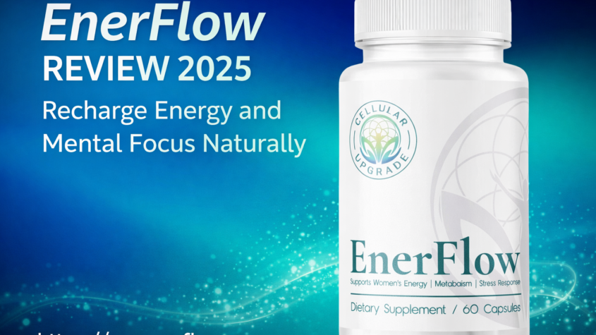 EnerFlow in 2025