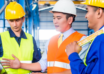 Professional safety audit