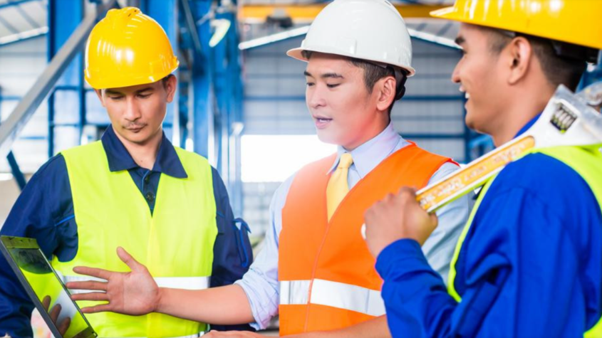 Professional safety audit