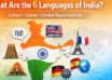 What Are the 6 Languages of India?