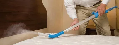 Professional bedbugs spray being applied on mattress