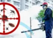 Pest Control in Islamabad – Effective Solutions for a Healthy Home and Workplace