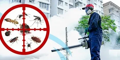Pest Control in Islamabad – Effective Solutions for a Healthy Home and Workplace