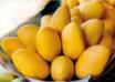 Best Pakistani Mangoes Online