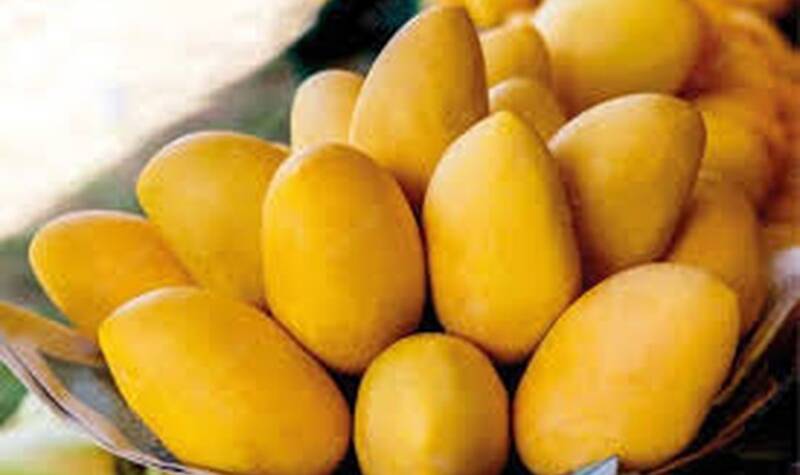 Best Pakistani Mangoes Online