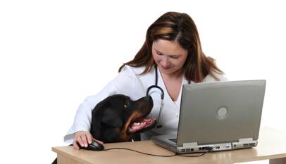 Best Veterinarian PPC Company USA